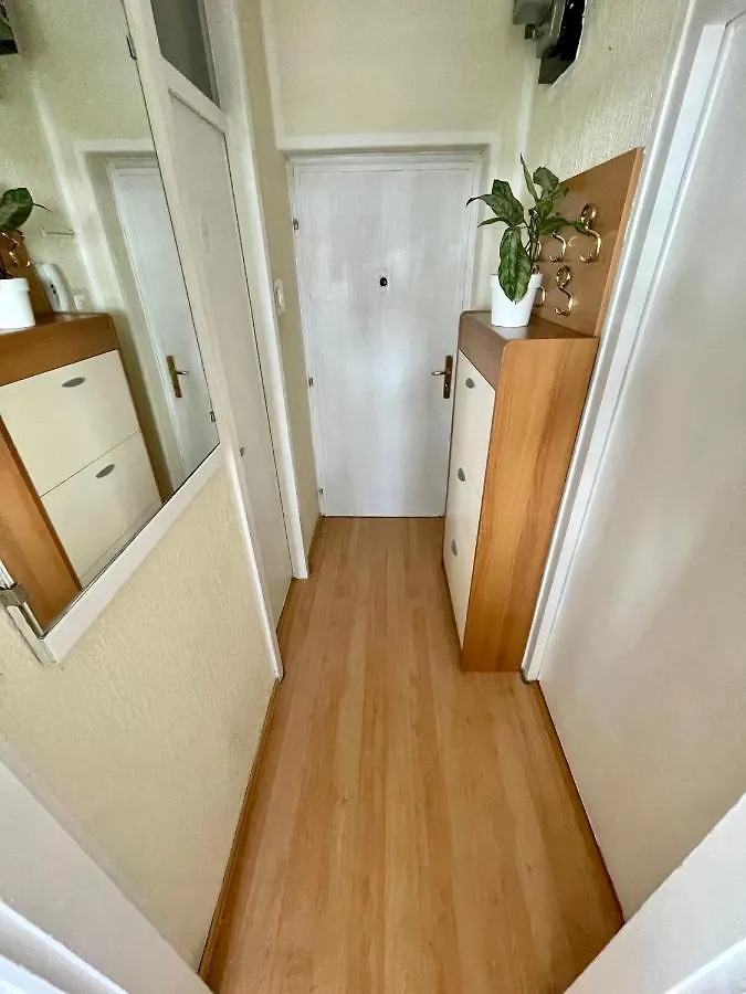 P&K Apartment Rijeka 0*,